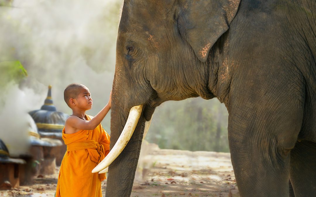 Six Blind Men and An Elephant